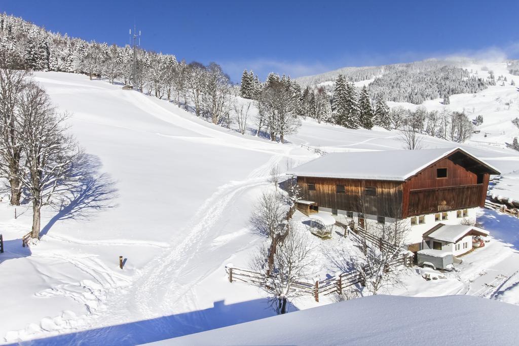Eberharthof Daire Saalbach-Hinterglemm Dış mekan fotoğraf